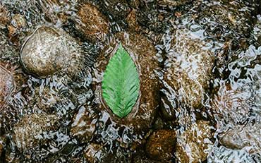 Mitarbeitende-Interzero-370x231 Mitarbeitende-Interzero-370x231