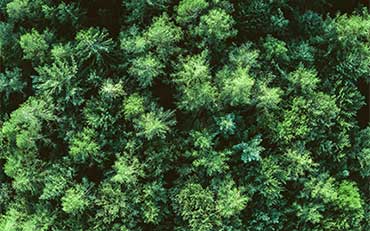 Umwelt-und-Klima-Interzero-370x231 Umwelt-und-Klima-Interzero-370x231